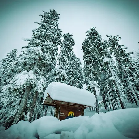 Appartement La Casina Del Teso *