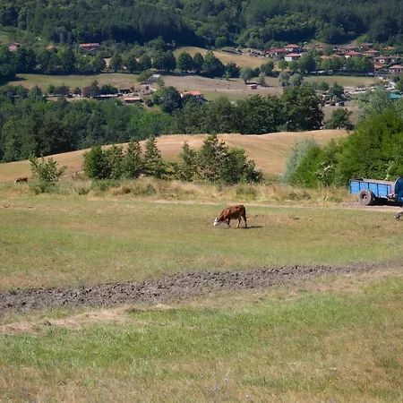 La Casina Del Teso Appartement Maresca