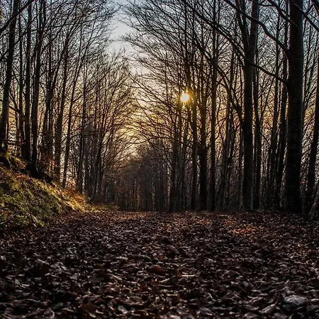 Appartement La Casina Del Teso *